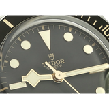 Tudor Black Bay 58 79030N  detail Dial