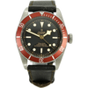 Tudor 79230 R Black Bay stehend