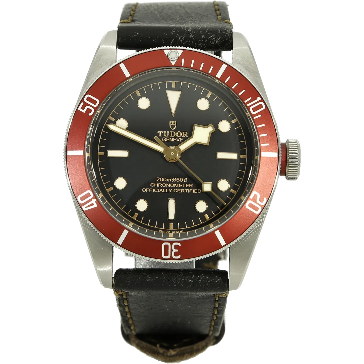 Tudor 79230 R Black Bay stehend