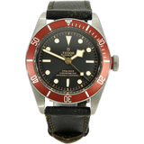 Tudor 79230 R Black Bay stehend
