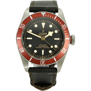 Tudor 79230 R Black Bay stehend
