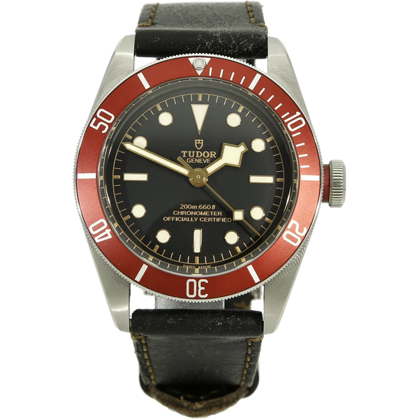Tudor 79230 R Black Bay stehend