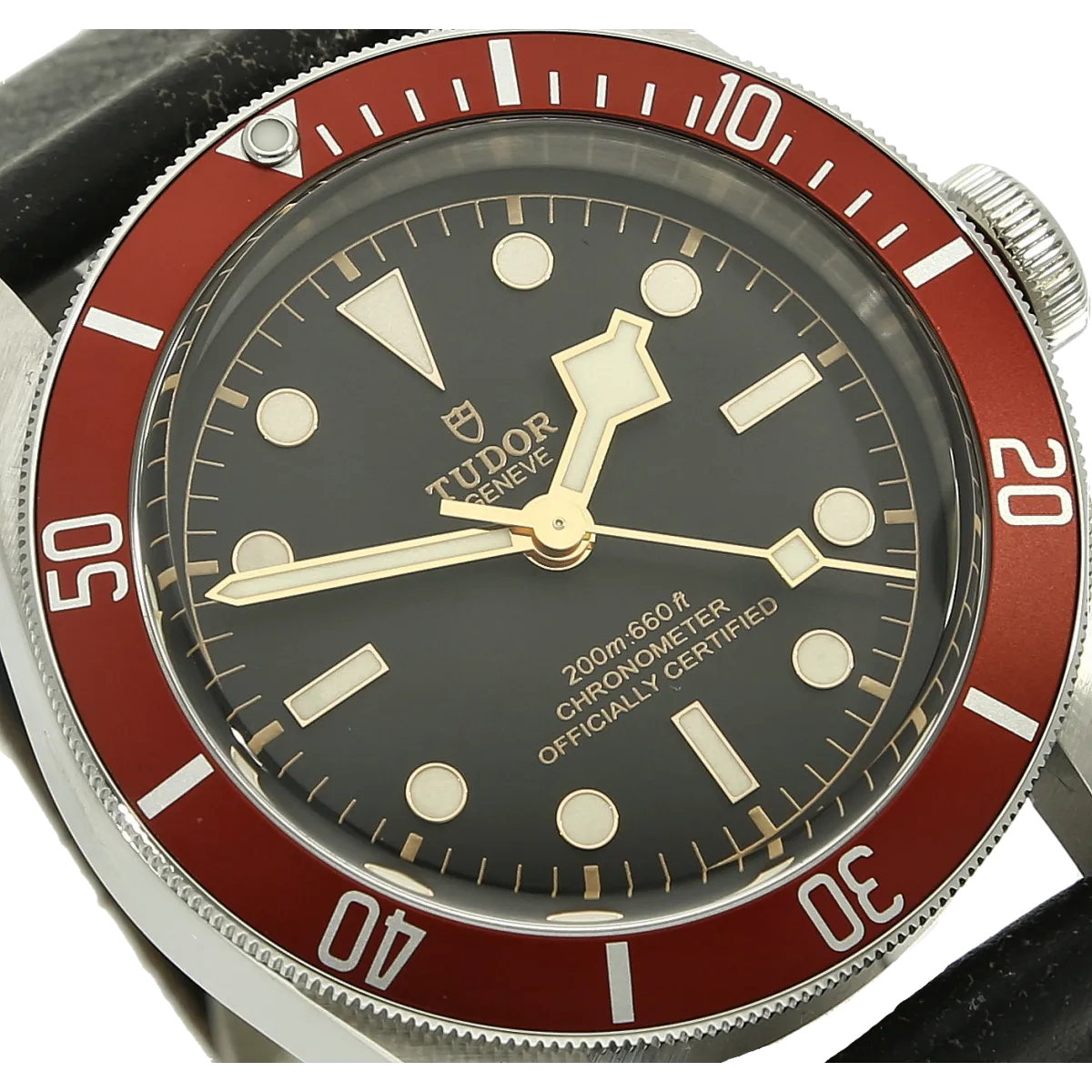 Tudor 79230 R Black Bay Zifferblatt 