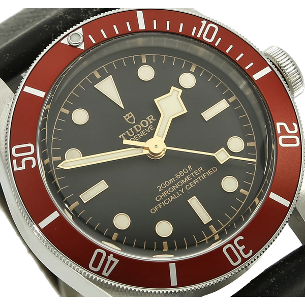 Tudor 79230 R Black Bay Zifferblatt 