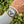 Laden Sie das Bild in den Galerie-Viewer, Tudor Chrono 79260 Oysterdate am Arm 
