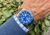 Tudor Pelagos 25600 TB am Arm 