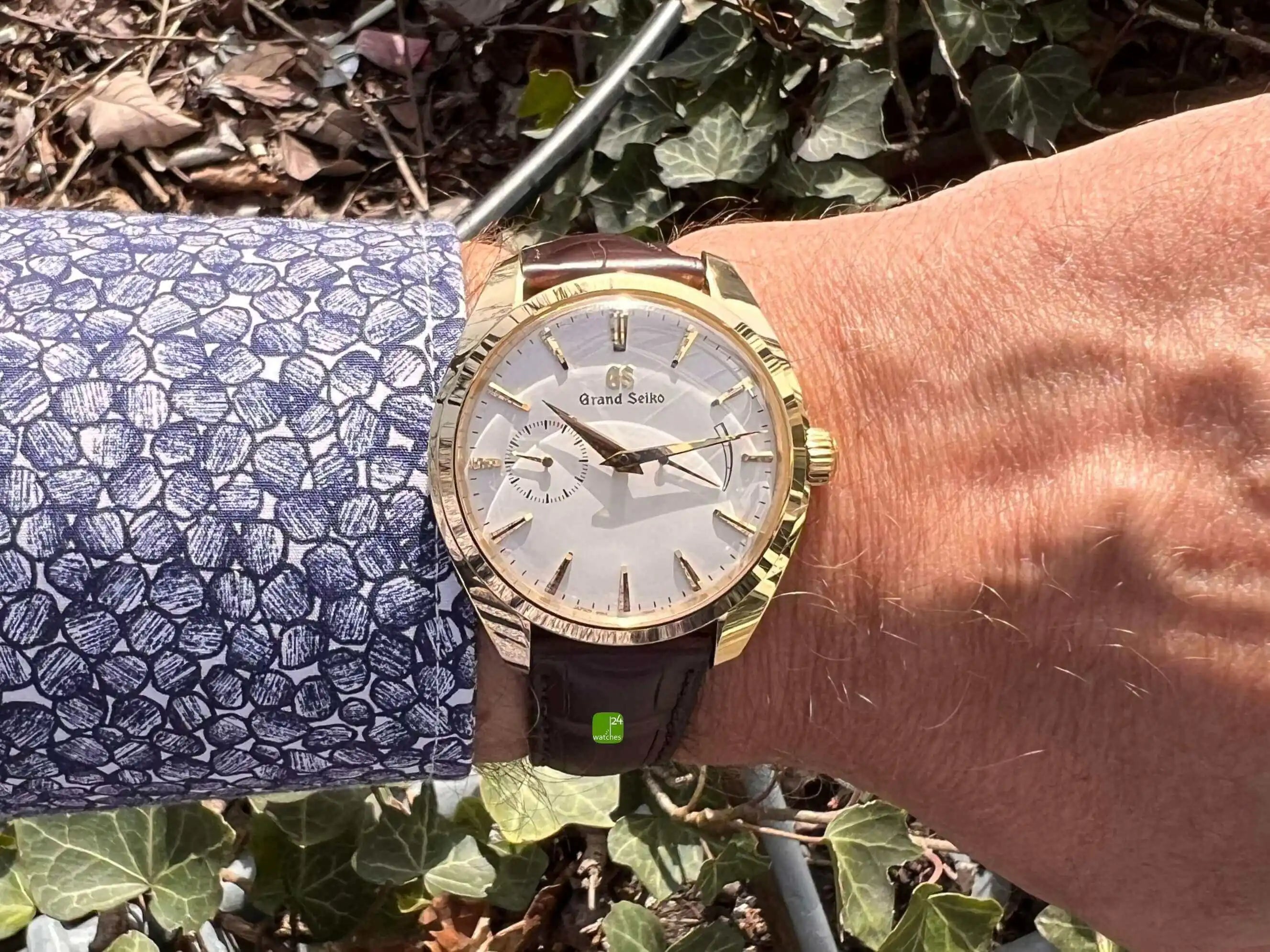 Grand Seiko Elegance Gold am Arm