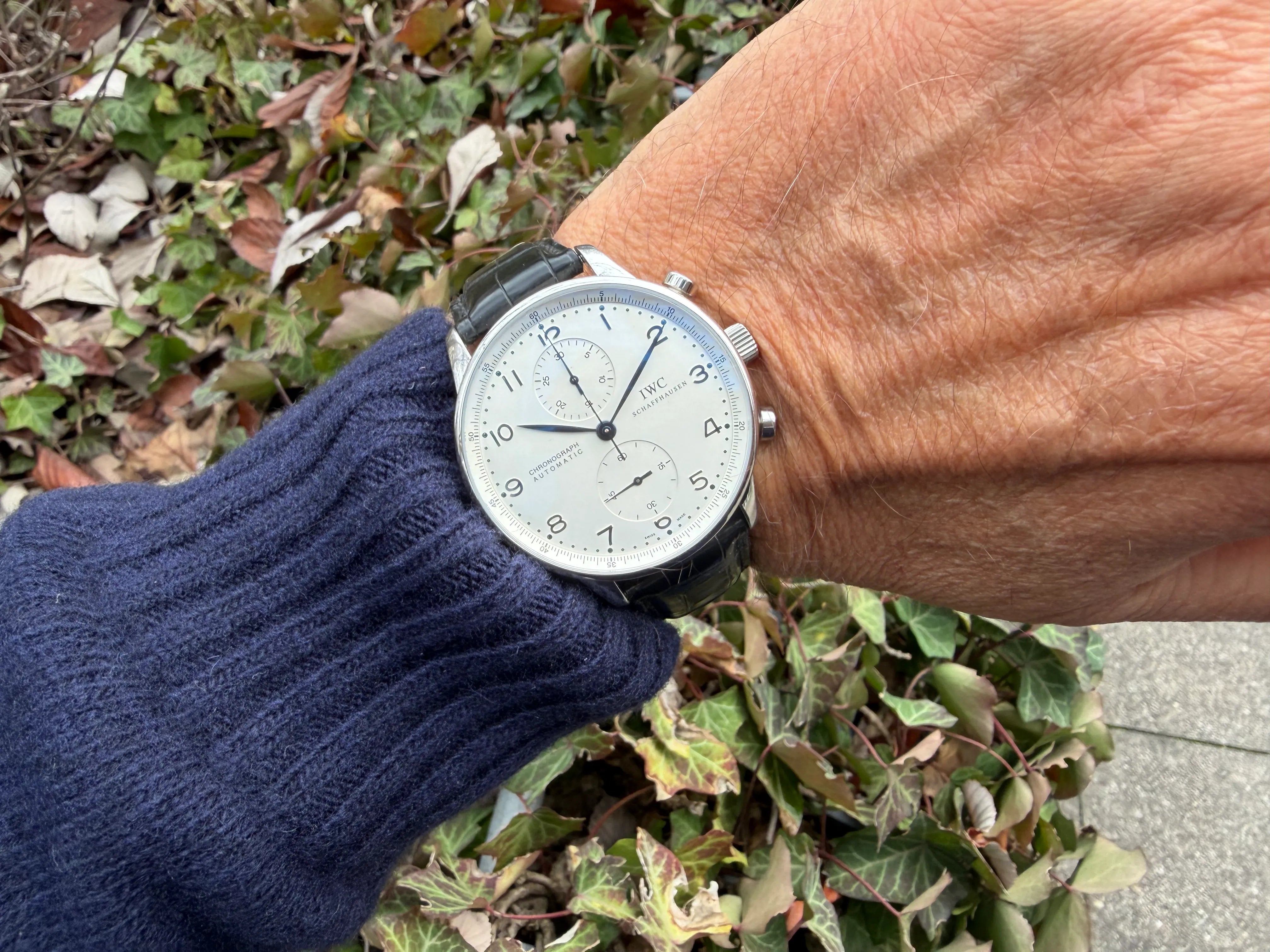 IWC Portugieser Chrono IW 381417 am Arm 