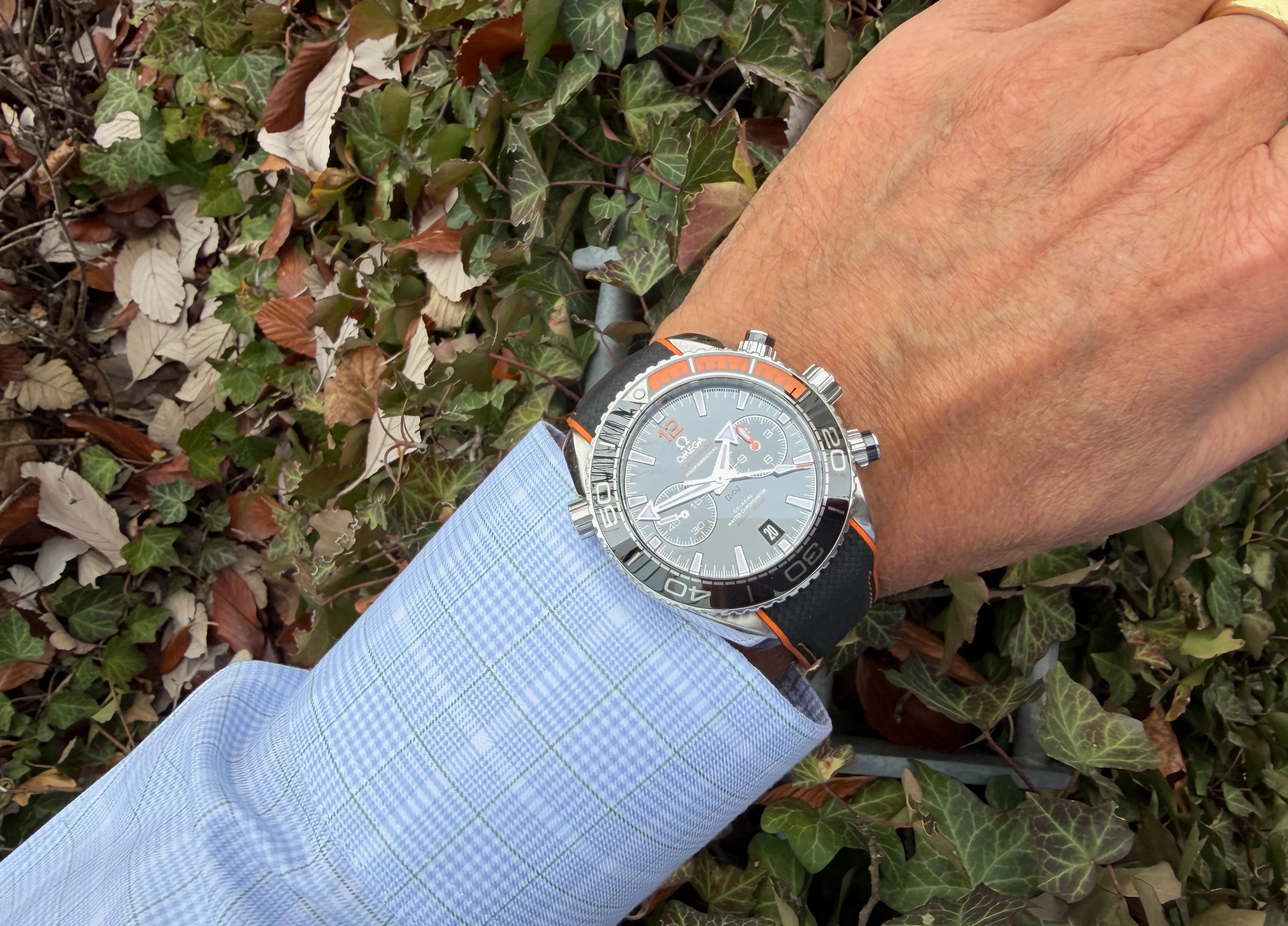 Omega Plaent Ocean Chrono 600m am Arm hell