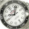 Omega Seamaster Diver 300 Zifferblatt 