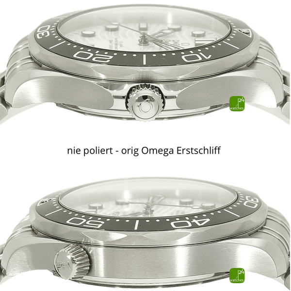 Omega Seamaster 300 Prof. weiss Gehaeuse 3 9 