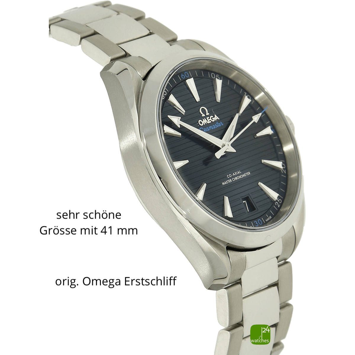 Omega Aqua Terra 41 Gehaeuse links