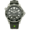 Omega Seamaster gruen stehend