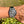 Load image into Gallery viewer, gebrauchte Omega Speedmaster Moon watch am Arm
