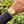 Laden Sie das Bild in den Galerie-Viewer, rolex 6013 stahl gold am Arm 
