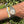 Laden Sie das Bild in den Galerie-Viewer, Rolex Day Date MOP Dia am Arm 

