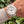 Laden Sie das Bild in den Galerie-Viewer, Rolex Explorer 16750 Polar 2008 am Arm
