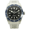 Tudor Black Bay 58 79230B stehend 
