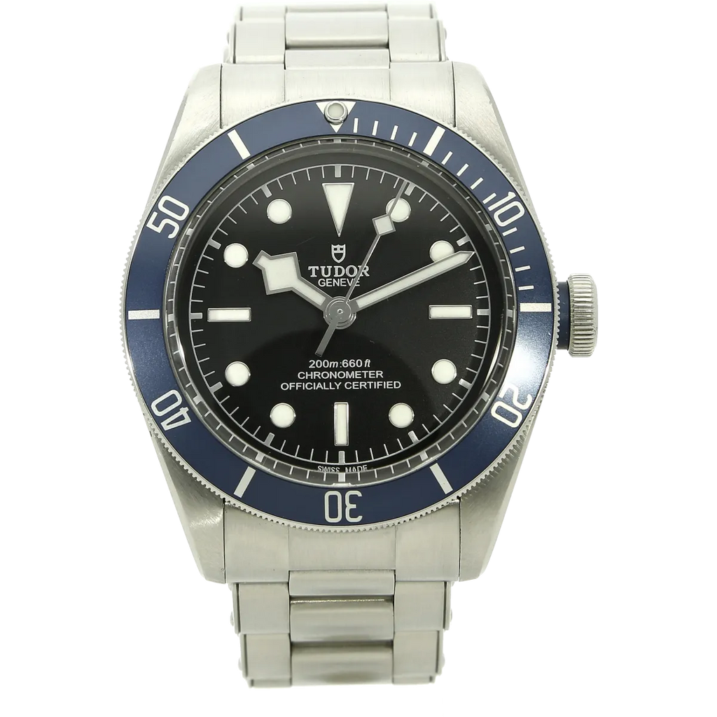 Tudor Black Bay 58 79230B stehend 