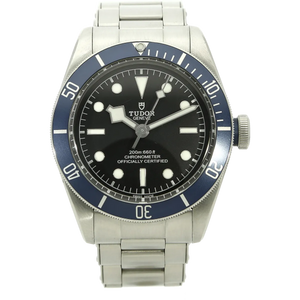Tudor Black Bay 58 79230B stehend 