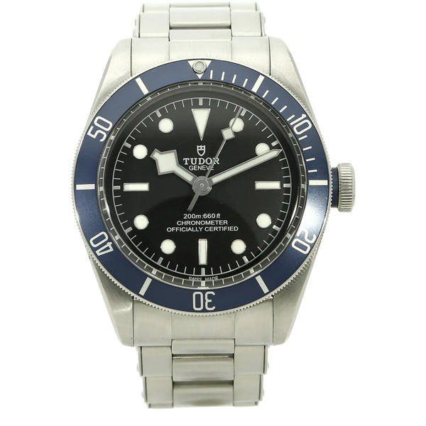 Tudor Black Bay 58 79230B stehend 