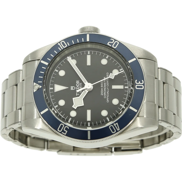 Tudor Black Bay 58 79230B liegend 