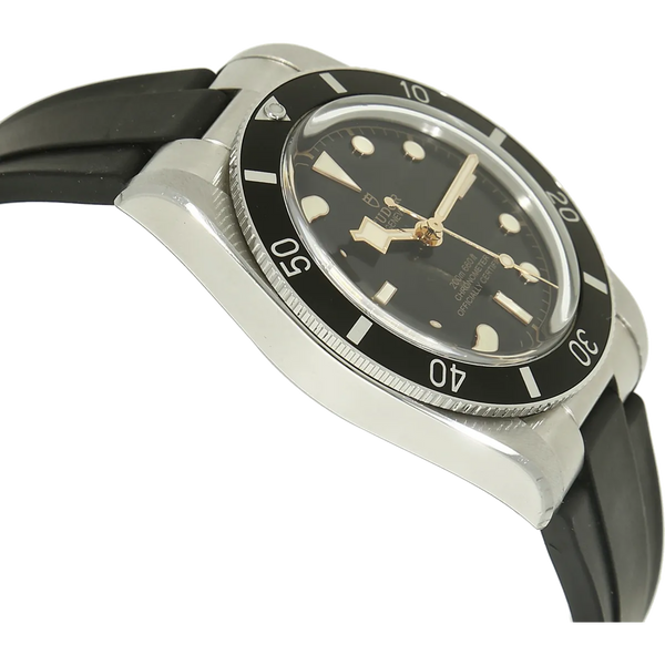 Tudor Black Bay 54 Gehaeuse links 