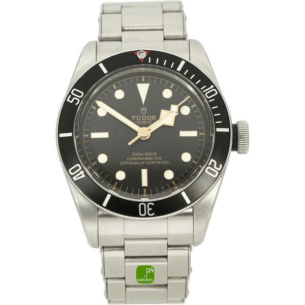 Tudor Black Bay stehend