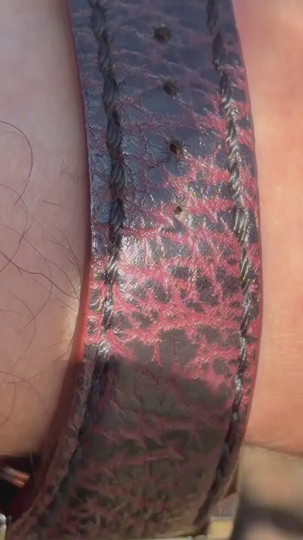 Grand Seiko Godzilla SBGA405 Video