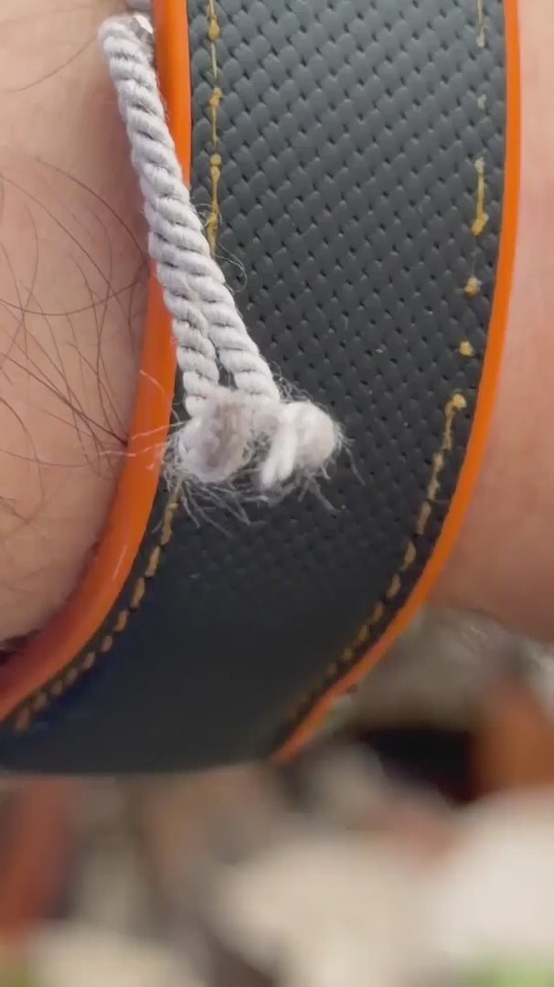 Omega Plaent Ocean Chrono 600m  Video 