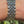 Load and play video in Gallery viewer, Tudor Black Bay Chrono Boutique Video
