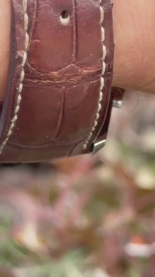 Omega Aqua Terra Chrono 42 Video