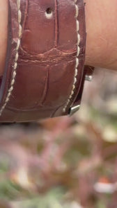 Omega Aqua Terra Chrono 42 Video