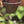 Laden und Abspielen von Videos im Galerie-Viewer, IWC Portofino 510107 Rotgold 8 Days Video
