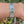 Load and play video in Gallery viewer, Omega Seamaster Aqua Terra  GMT 43 full Set

