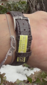 Zenith Chronomaster01240410 Video 